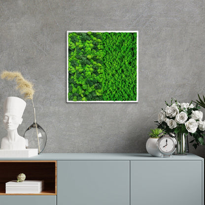 Half Moss Art Square Frame