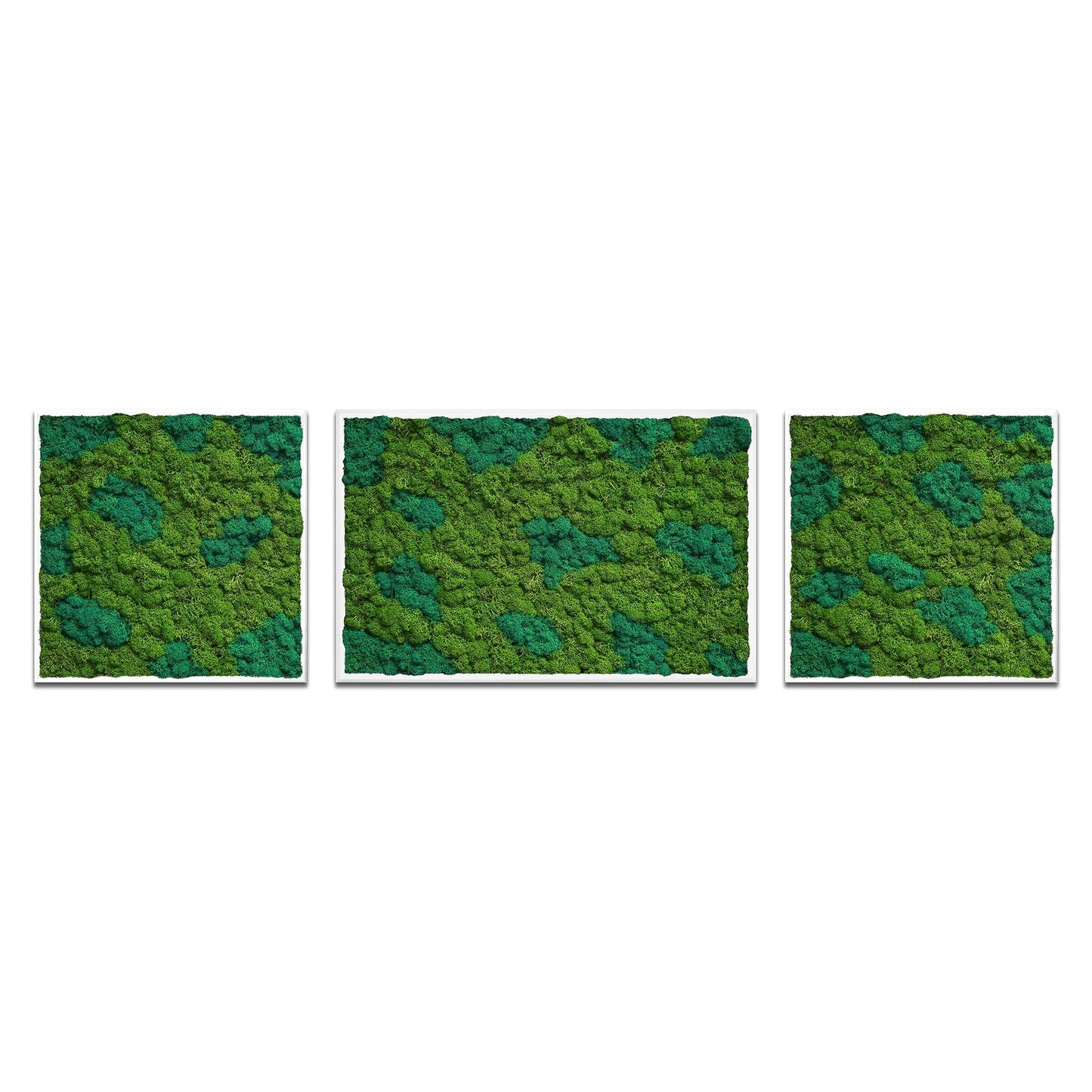 Moss Art Trio Multi Panel