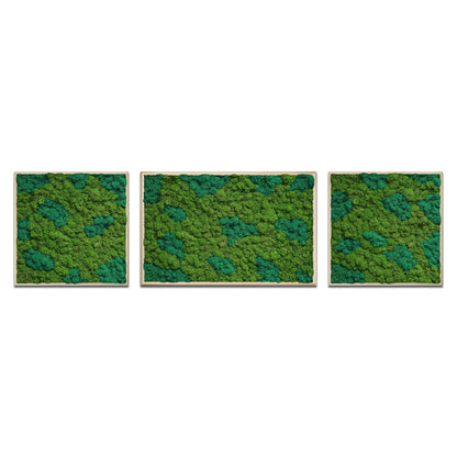 Moss Art Trio Multi Panel